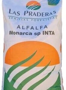 Alfalfa Monarca