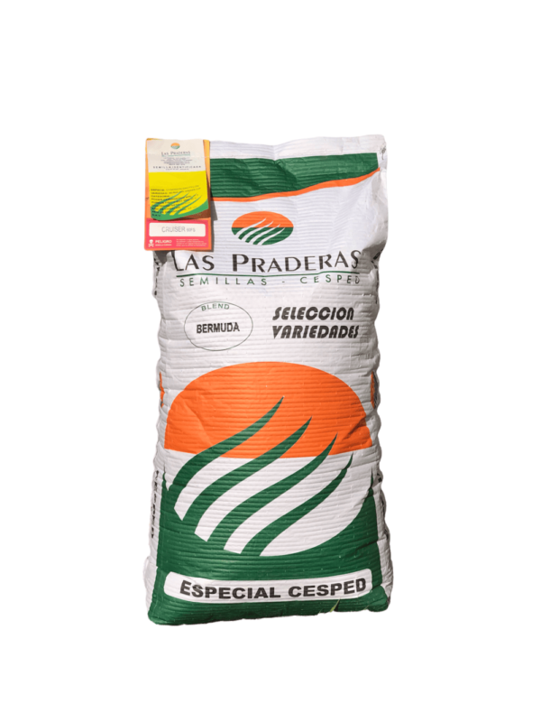 Bermuda Grass Amarillo