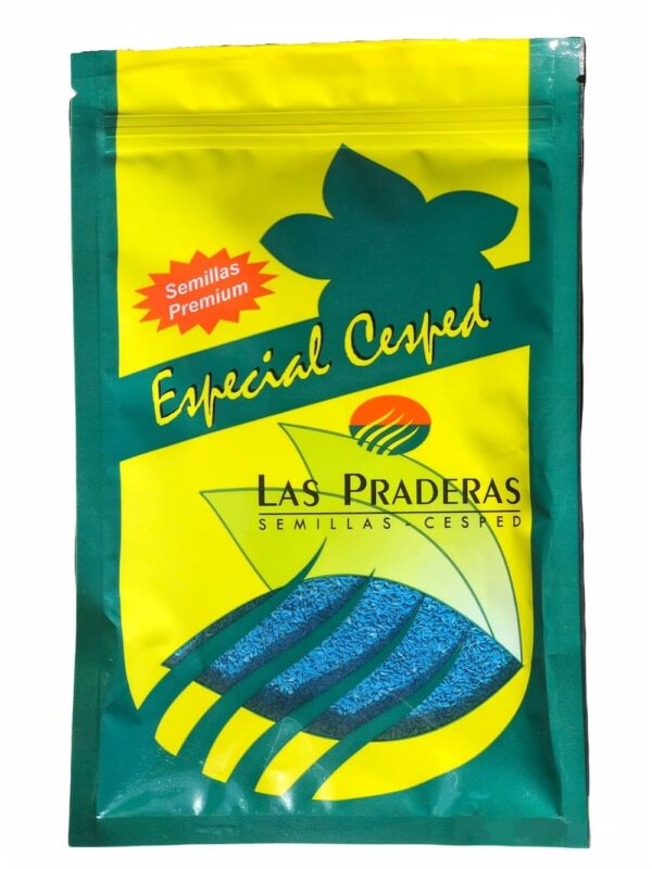 Rye grass anual siembra resiembra blanca