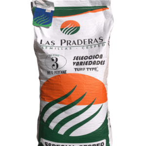 Rye grass perenne 3 variedades