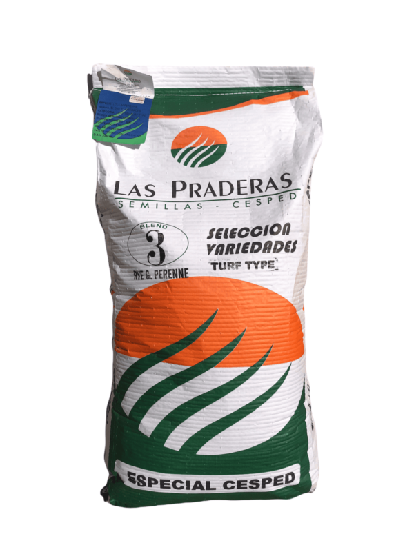 Rye grass perenne 3 variedades