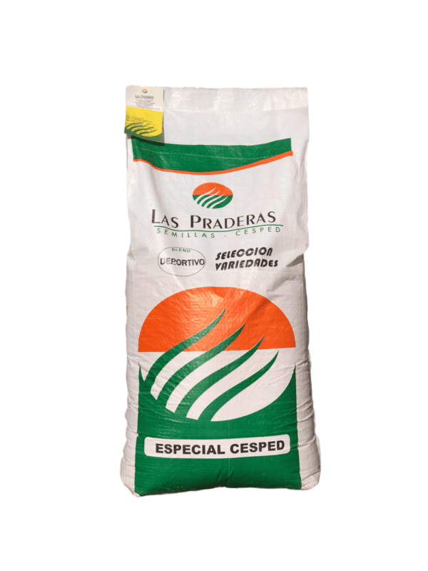 Blend deportivo